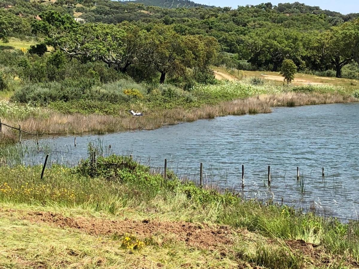 Fontes - A Essencia Do Alentejo Com Lago Privado Redondo Εξωτερικό φωτογραφία