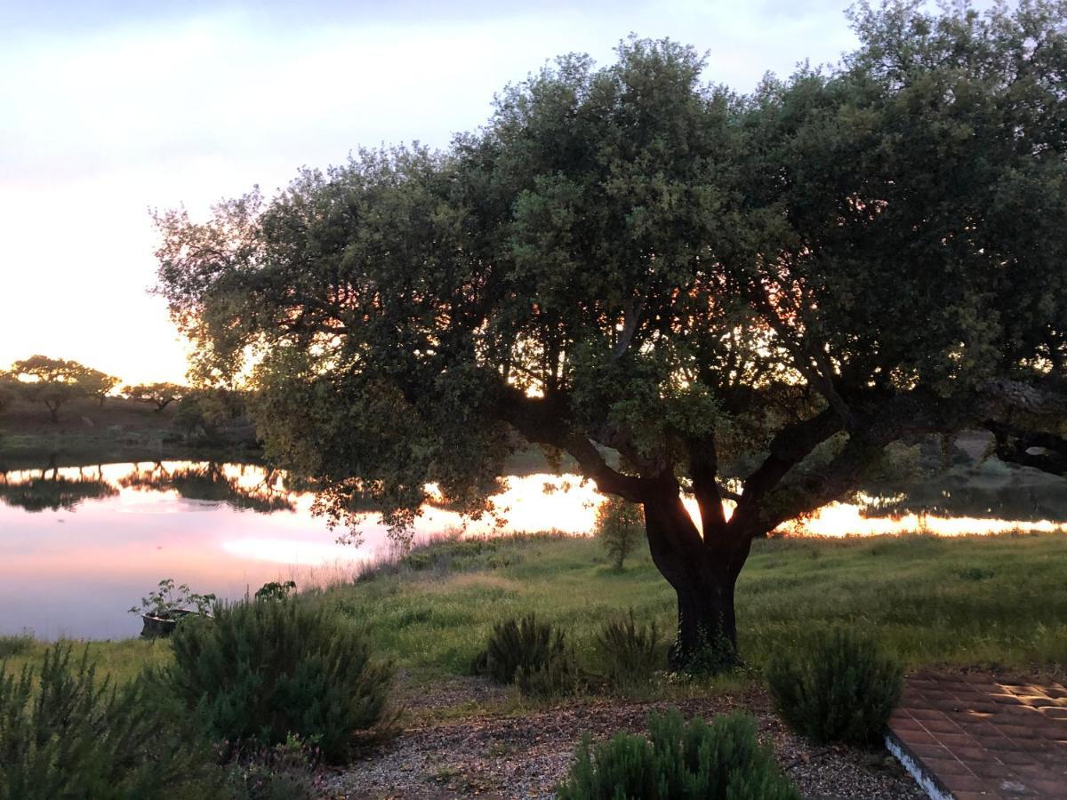 Fontes - A Essencia Do Alentejo Com Lago Privado Redondo Εξωτερικό φωτογραφία